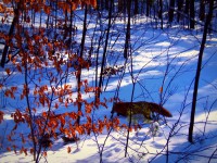 /album/session-raq/p1051030-001-jpg/