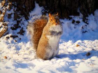 /album/reportage-animalier/p1071066-001-jpg/