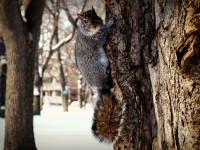 /album/reportage-animalier/p1071071-001-jpg/