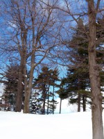 /album/parc-national-du-mont-saint-bruno/p3230646-001-jpg/